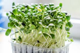 #microgreens
