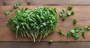 #microgreens